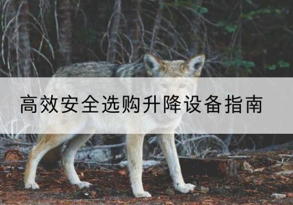 太谷升降货梯厂家推荐-*安全选购升降设备指南