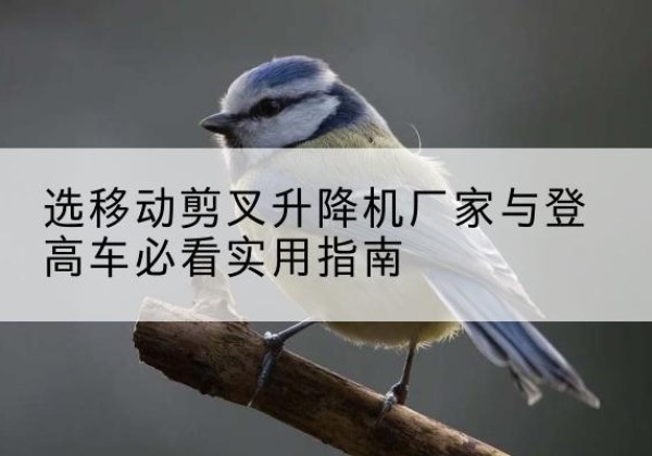 太谷电动升降机厂家-选移动剪叉升降机厂家与登高车必看实用指南